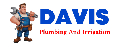 Trusted plumber in DELANO